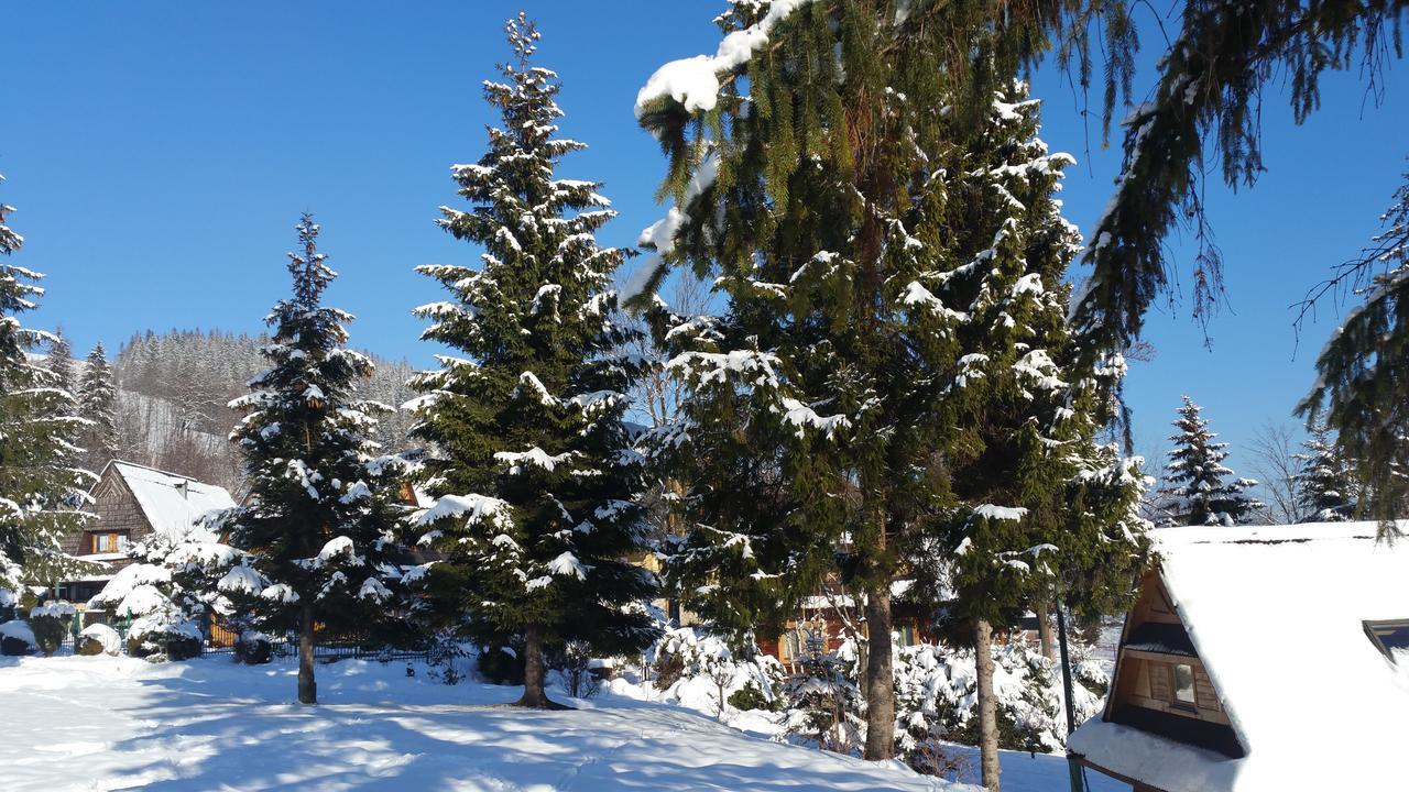 Camping Harenda Pokoje Gościnne i Domki Zakopane Zewnętrze zdjęcie