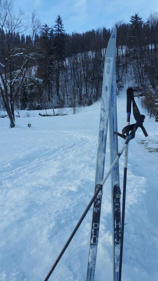 Camping Harenda Pokoje Gościnne i Domki Zakopane Zewnętrze zdjęcie