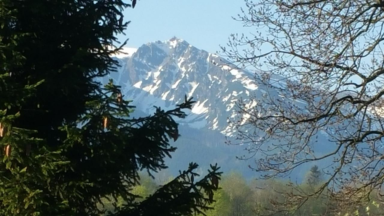 Camping Harenda Pokoje Gościnne i Domki Zakopane Zewnętrze zdjęcie