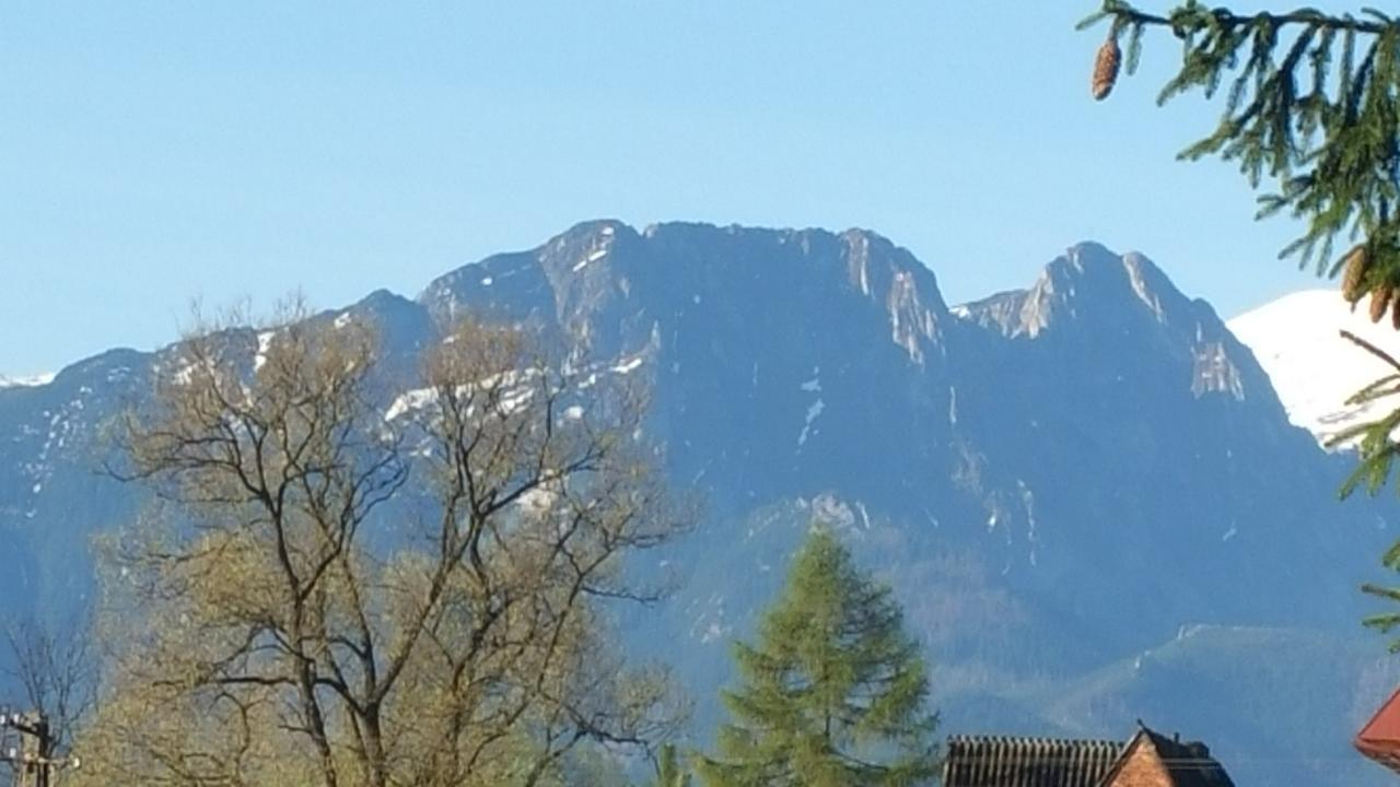 Camping Harenda Pokoje Gościnne i Domki Zakopane Zewnętrze zdjęcie