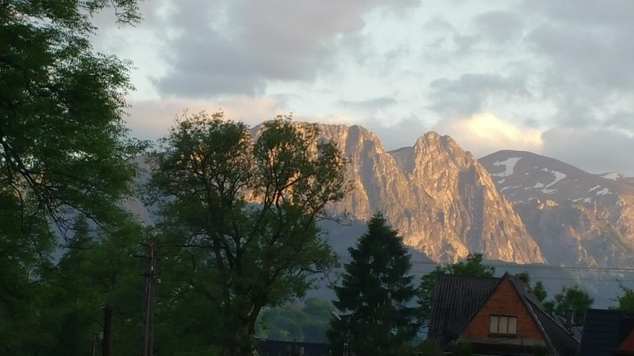 Camping Harenda Pokoje Gościnne i Domki Zakopane Zewnętrze zdjęcie